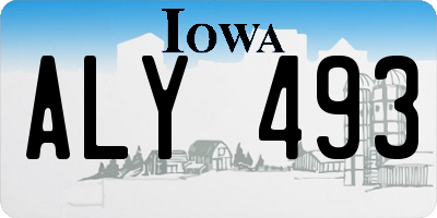 IA license plate ALY493