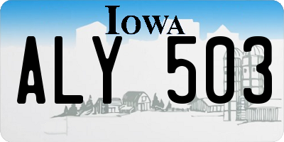 IA license plate ALY503