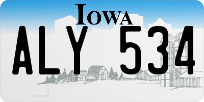 IA license plate ALY534