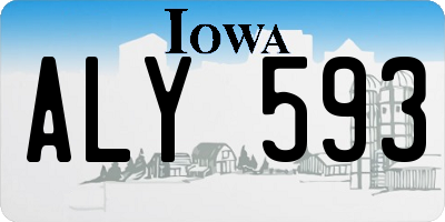 IA license plate ALY593