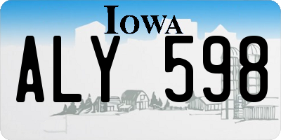 IA license plate ALY598