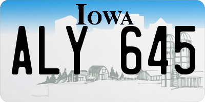IA license plate ALY645