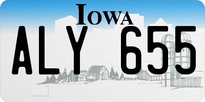 IA license plate ALY655