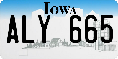 IA license plate ALY665
