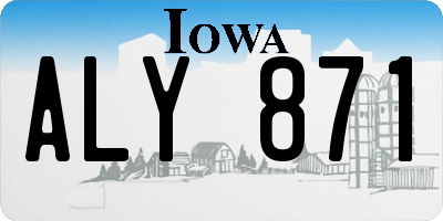 IA license plate ALY871