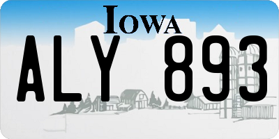 IA license plate ALY893