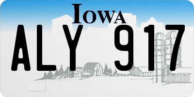 IA license plate ALY917