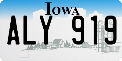 IA license plate ALY919