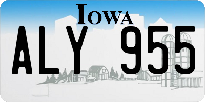 IA license plate ALY955