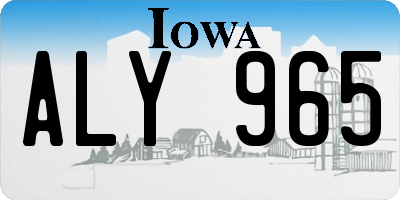 IA license plate ALY965