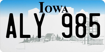 IA license plate ALY985