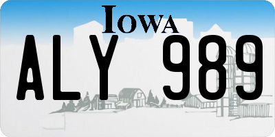 IA license plate ALY989