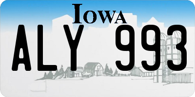 IA license plate ALY993