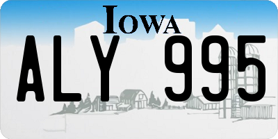 IA license plate ALY995
