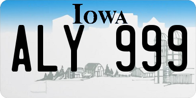 IA license plate ALY999