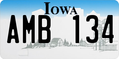 IA license plate AMB134
