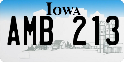 IA license plate AMB213