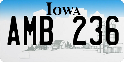 IA license plate AMB236