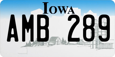 IA license plate AMB289