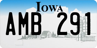 IA license plate AMB291