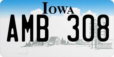 IA license plate AMB308