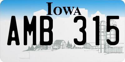 IA license plate AMB315