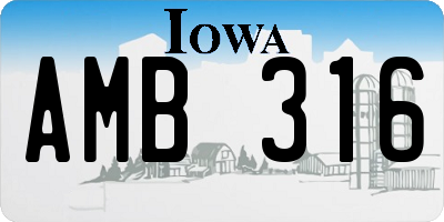 IA license plate AMB316