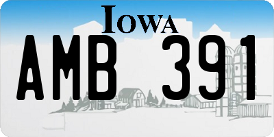 IA license plate AMB391