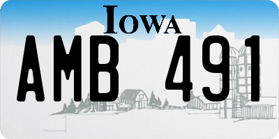 IA license plate AMB491