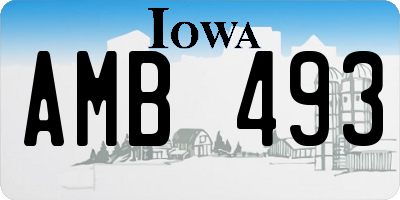IA license plate AMB493
