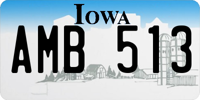IA license plate AMB513