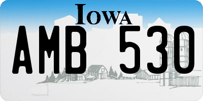 IA license plate AMB530