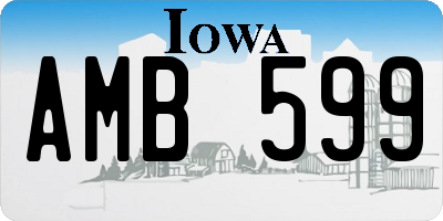 IA license plate AMB599