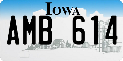 IA license plate AMB614