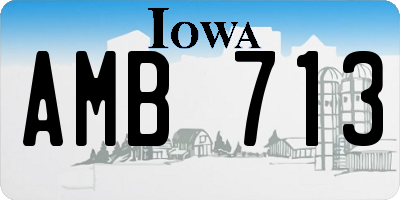 IA license plate AMB713