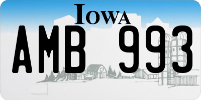IA license plate AMB993