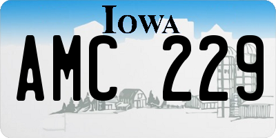 IA license plate AMC229