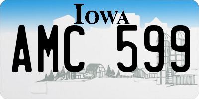 IA license plate AMC599