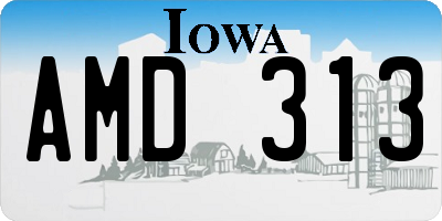 IA license plate AMD313