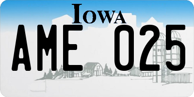 IA license plate AME025