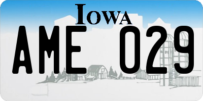 IA license plate AME029