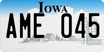 IA license plate AME045