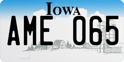 IA license plate AME065