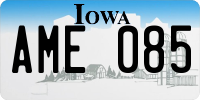 IA license plate AME085