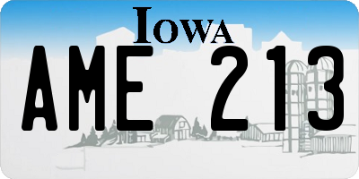 IA license plate AME213