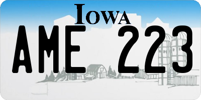 IA license plate AME223