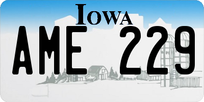 IA license plate AME229
