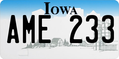 IA license plate AME233