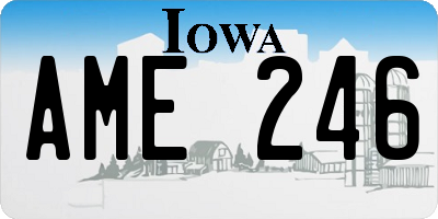 IA license plate AME246