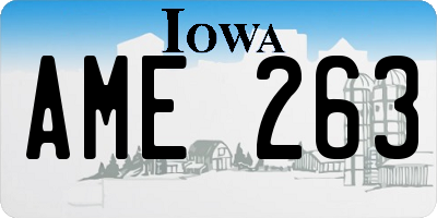 IA license plate AME263